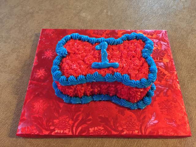 Paw Patrol Smash Cake