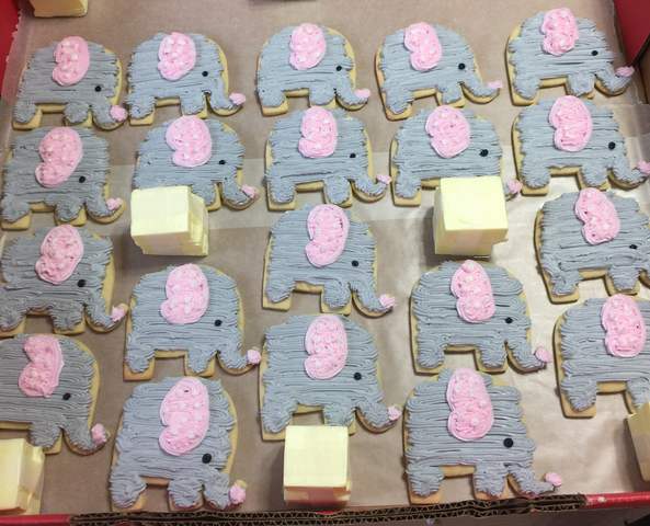 Elephant Cookies