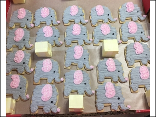 Elephant Cookies