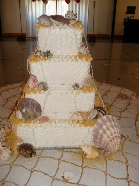 Square Seashell Cake